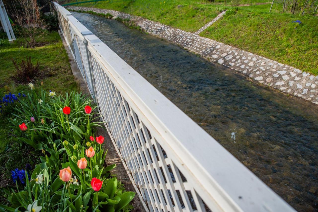 Riverside Apartman**** Miskolc Buitenkant foto